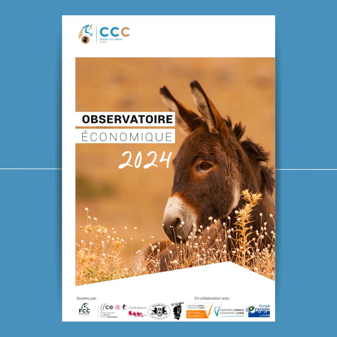 L'Observatoire économique de la filière équine Corse 2024 est sorti !